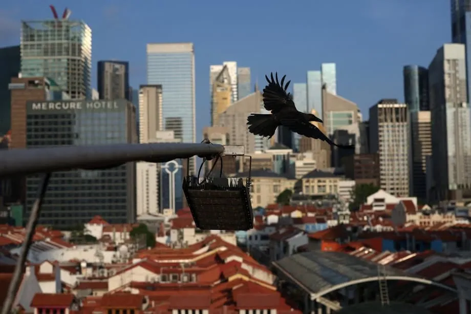 Singapore đối mặt với tình trạng tự tử gia tăng đáng báo động ở người trẻ: Nhìn nhận khủng hoảng và hướng đi phía trước