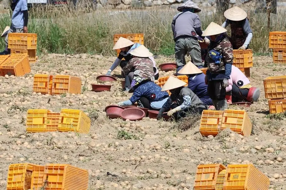 Hàn Quốc mở rộng chiến dịch kêu gọi gọi lao động nhập cư bằng tên