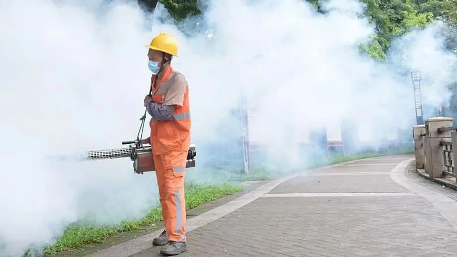 Đợt bùng phát chikungunya lớn nhất từ trước đến nay tại Trung Quốc: Quảng Đông đang ứng phó với virus lây truyền qua muỗi