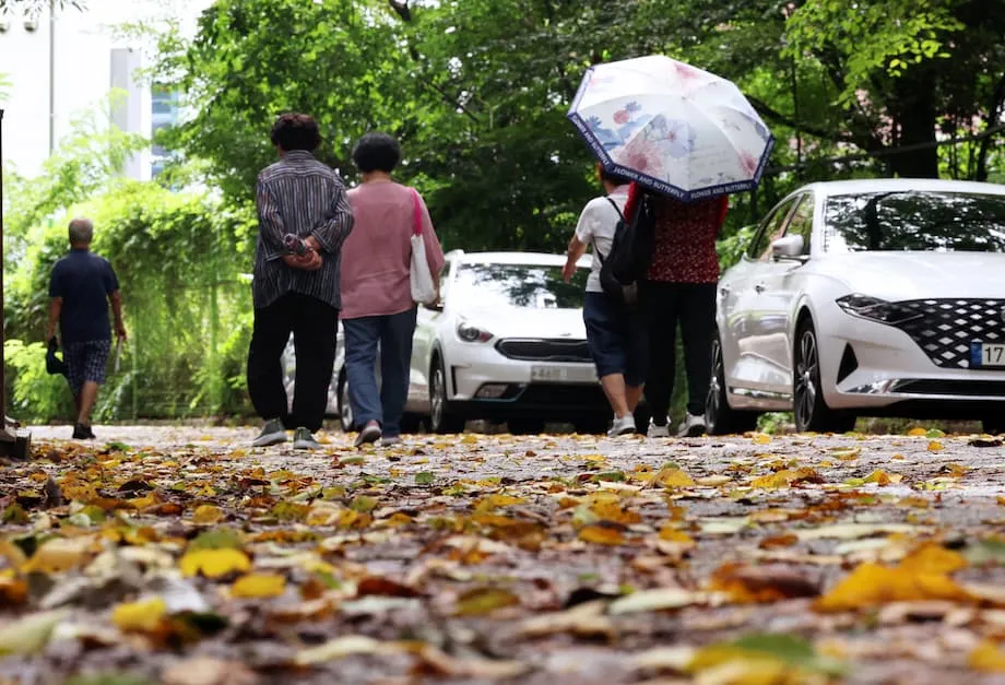 Hàn Quốc theo dõi khả năng La Nina, đầu mùa thu có thể mưa nhiều và rét sớm