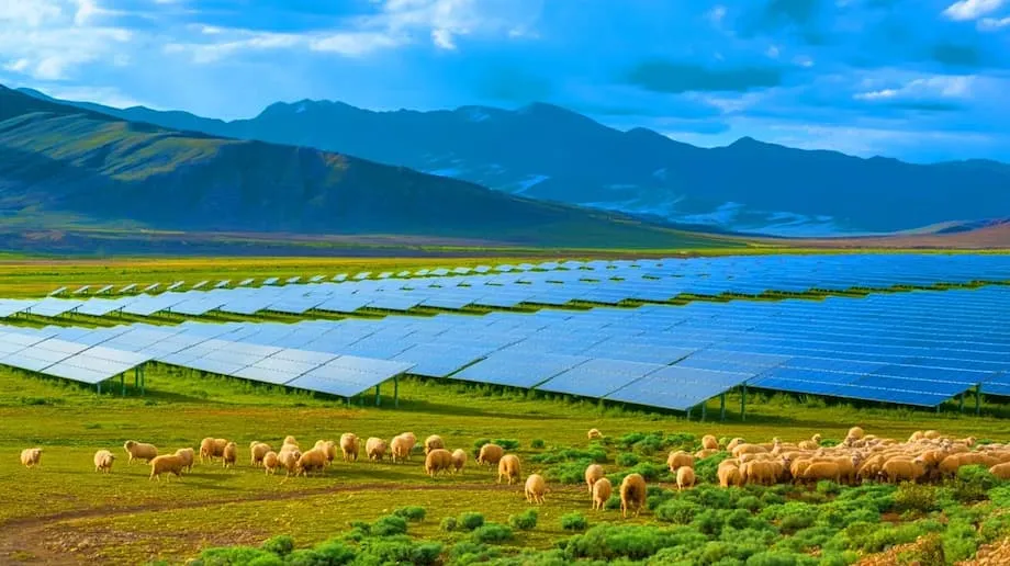 Trang trại điện mặt trời khổng lồ của Trung Quốc phục hồi hệ sinh thái và cung cấp điện cho hàng triệu người