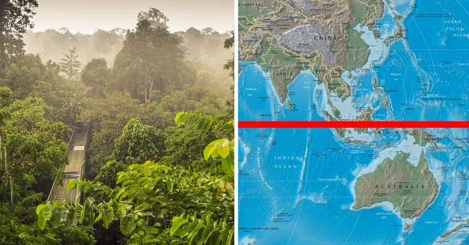 Vì sao rừng mưa Malaysia thuộc hàng những hệ sinh thái lâu đời nhất Trái Đất