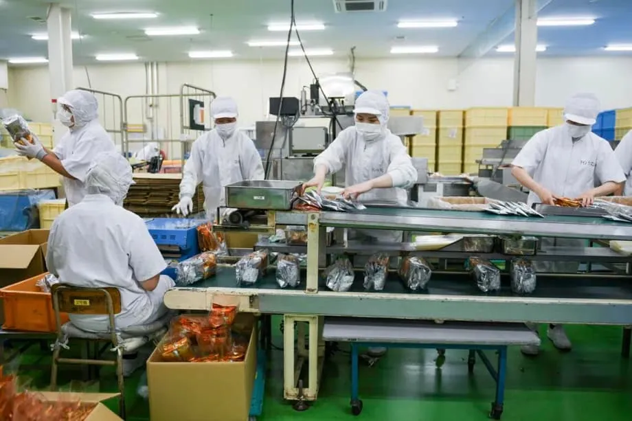 Dân số người nước ngoài tại 10 tỉnh của Nhật Bản tăng gấp đôi trong một thập kỷ