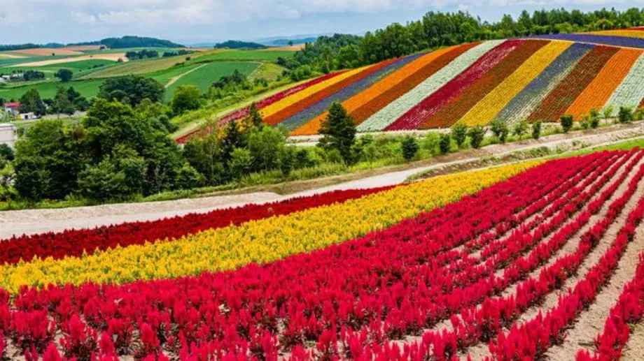 Kế hoạch đầy tham vọng của Nhật Bản nhằm biến Hokkaido thành trung tâm chip toàn cầu