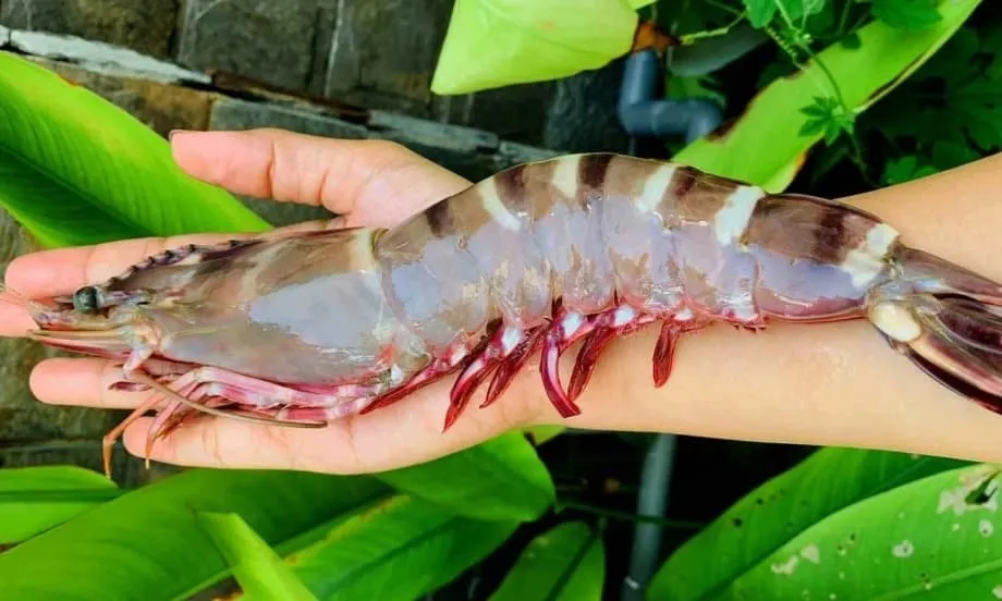 Việt Nam đón làn sóng nhu cầu từ Mỹ, điện tử, dệt may và đồ chơi thúc đẩy xuất khẩu lập kỷ lục