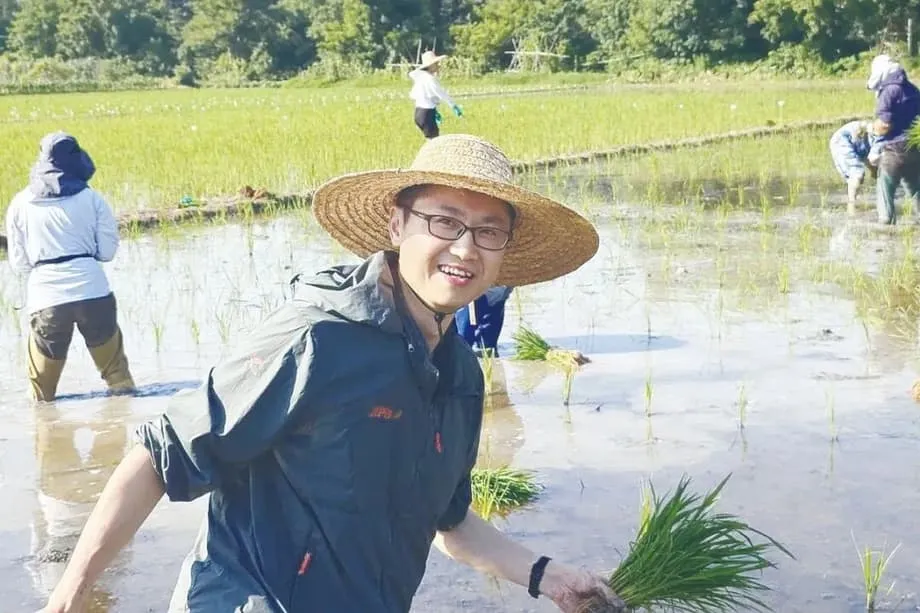 Đột phá của Trung Quốc về lúa lai vô tính có thể tạo bước ngoặt cho an ninh lương thực toàn cầu