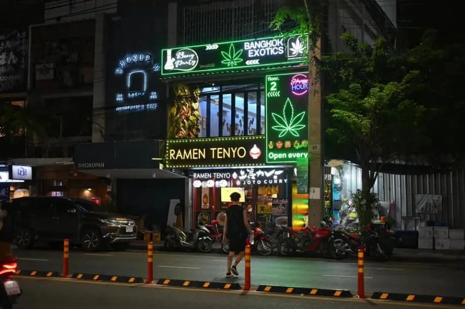 Thử nghiệm cần sa của Thái Lan: Từ kỳ vọng kinh tế đến lo ngại xã hội