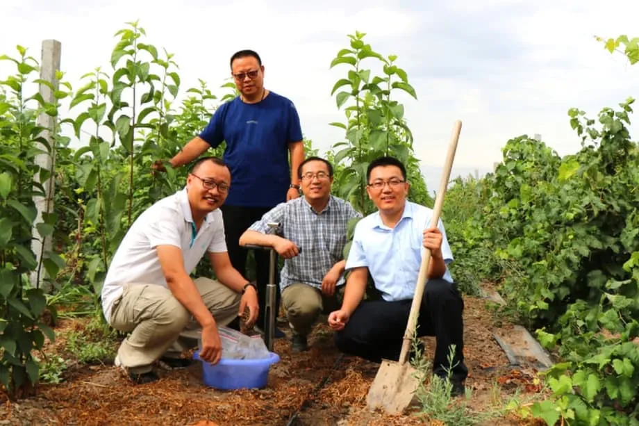 Trung Quốc trồng cao su cấp quân sự ở sa mạc Gobi nhằm bảo đảm chuỗi cung ứng chiến lược