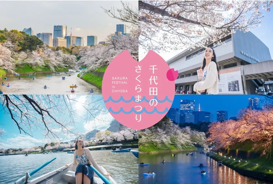 Lễ hội hoa anh đào Chiyoda 2026 biến khu vực Hoàng cung Tokyo thành điểm hẹn mùa xuân kéo dài gần hai tháng