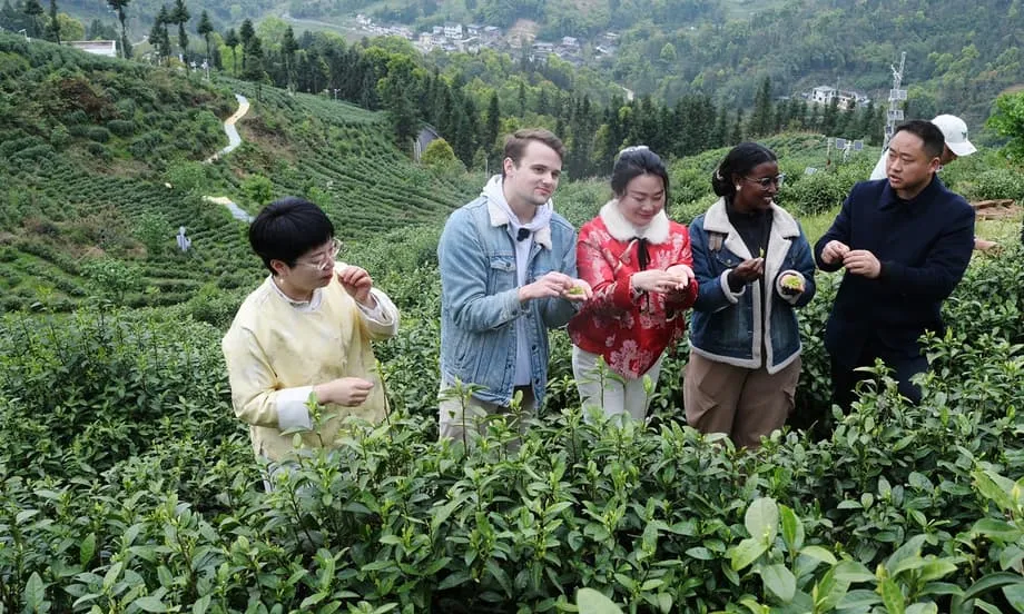 Các học giả nước ngoài tìm thấy mô hình hiện đại mới trong phương thức quản trị của Trung Quốc