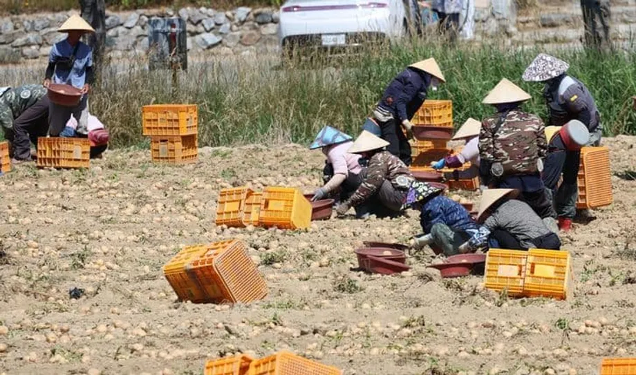 Hàn Quốc hướng đến nhập cư, nhưng nghiên cứu cảnh báo điều này sẽ không ngăn được suy giảm dân số