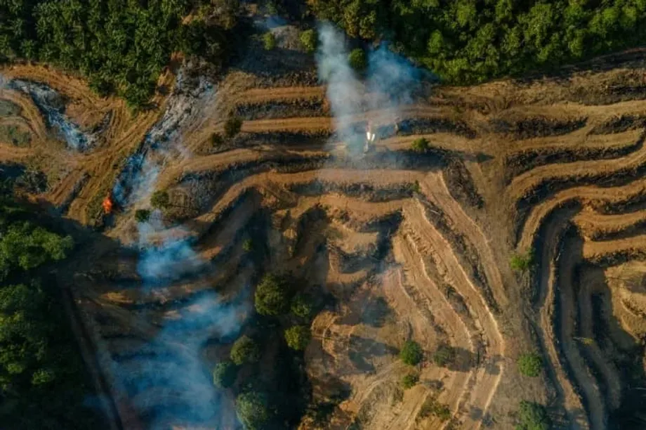 Điều tra gian lận dầu cọ ở Indonesia liên quan các tập đoàn năng lượng lớn của châu Âu trong đường dây khai báo sai