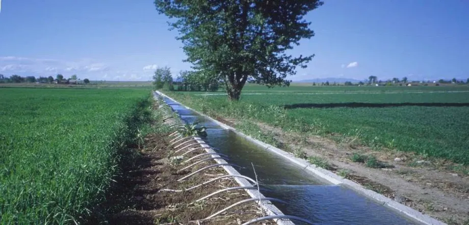 Half of Uzbekistan's Irrigated Land Affected by Salt as Water Losses Complicate Farm Climate Plans