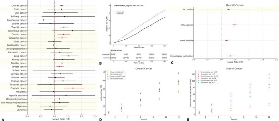 South Korean Study of 36 Million People Finds No Change in Cancer Trends After COVID-19 Vaccination