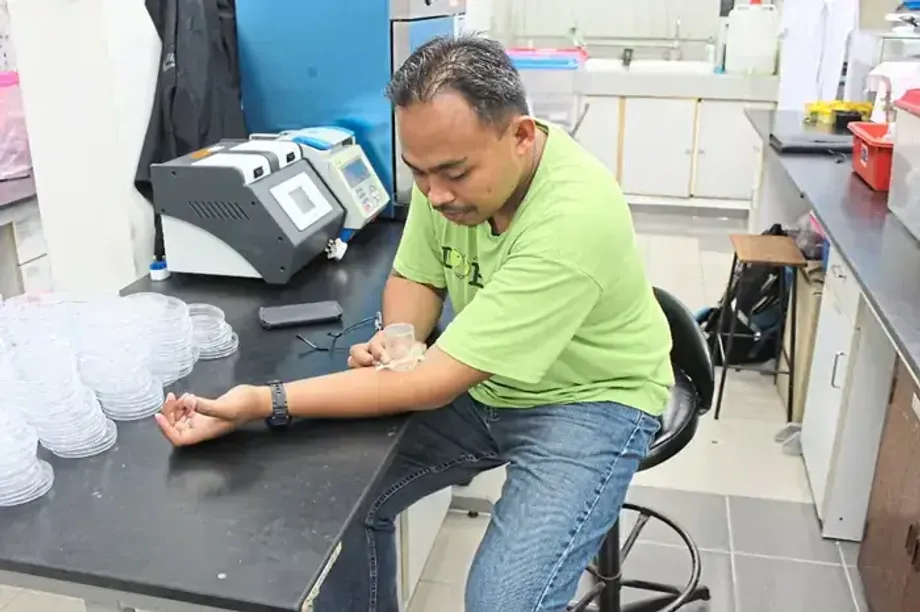 Rệp giường: Bằng chứng pháp y mới từ các nhà khoa học Malaysia
