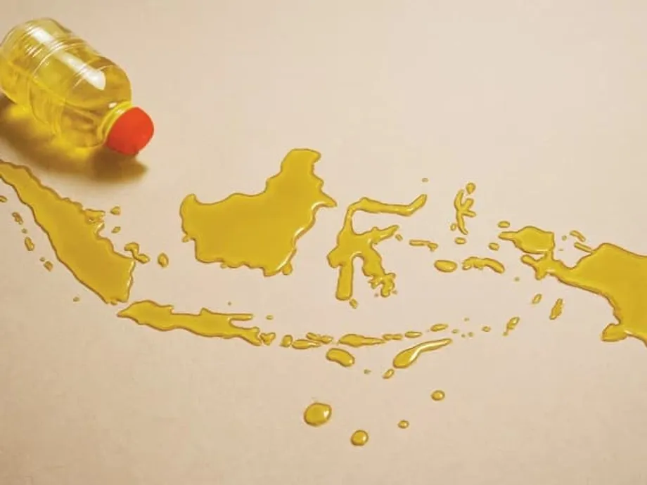 Dầu cọ Indonesia giữ vai trò trụ cột trong an ninh lương thực và ổn định giá cả ở Pakistan